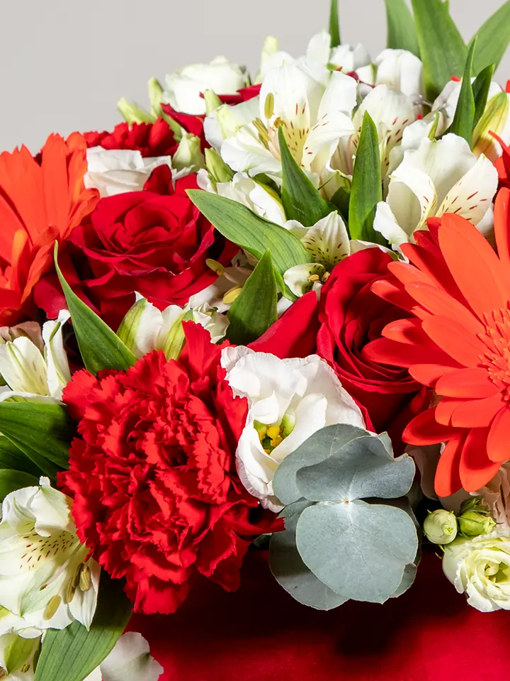 Flower box rosso di fiori bianchi e rossi macro